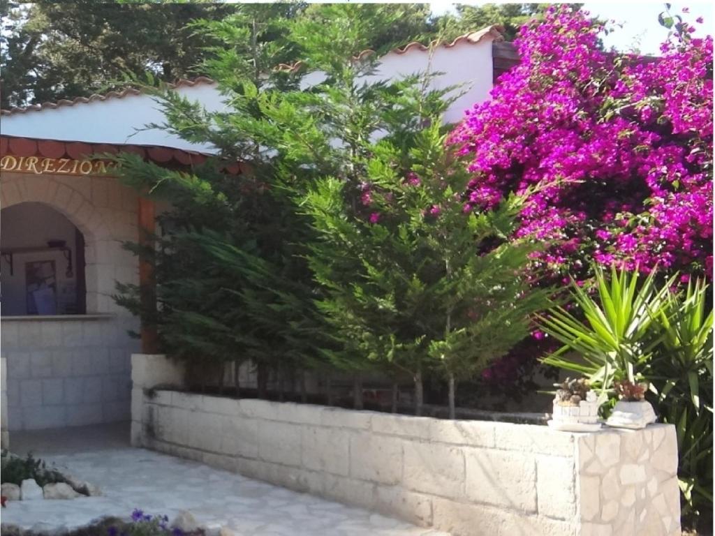 Althea Village Residence Vieste Pokoj fotografie
